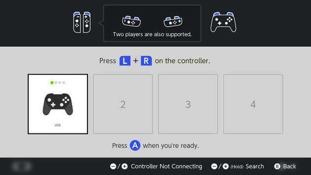 The Nintendo Switch menu showing one generic USB controller attached